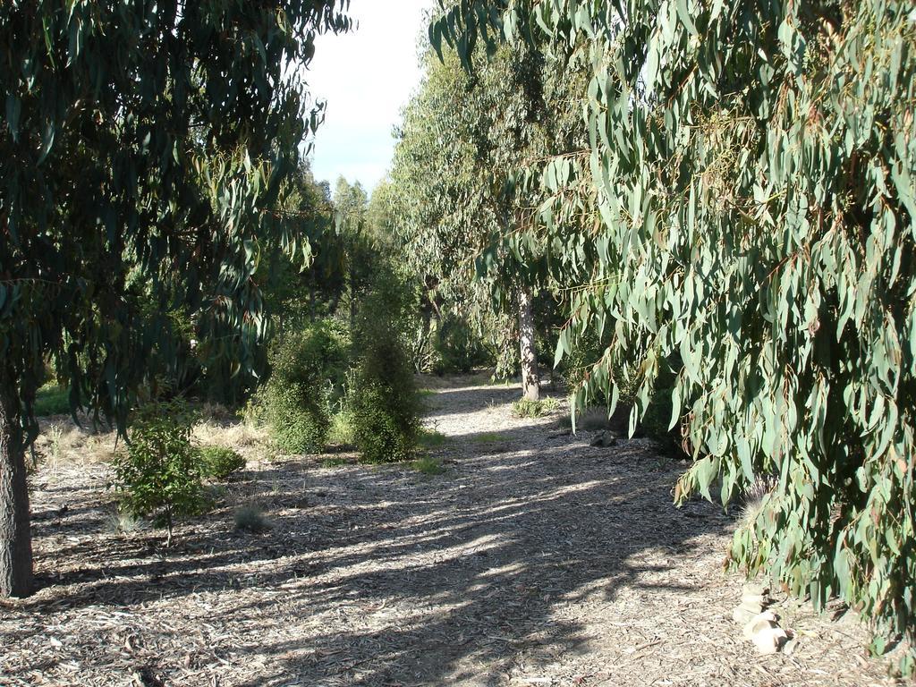 Posto Bello North Loburn Екстер'єр фото